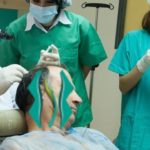 الشعر في تركيا خطوة بخطوة
